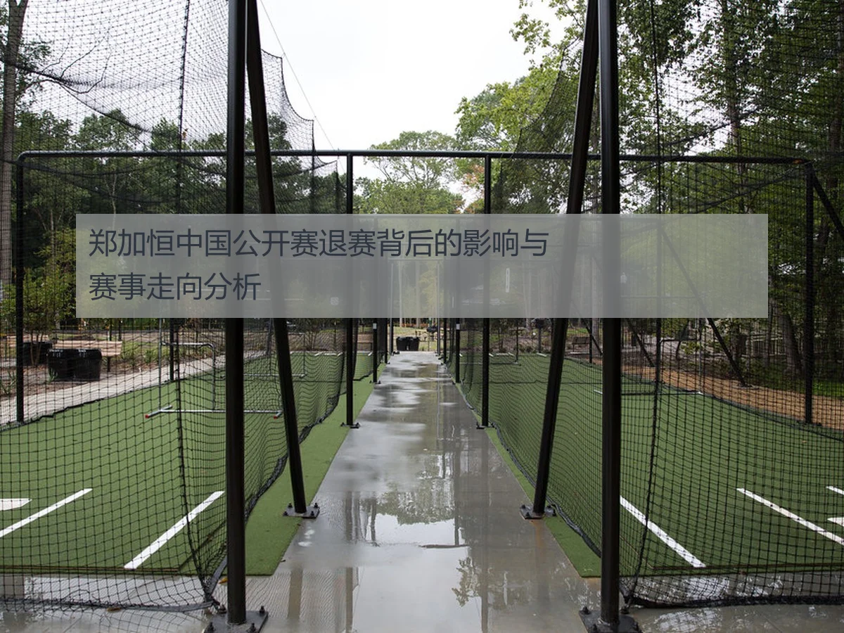 郑加恒中国公开赛退赛背后的影响与赛事走向分析